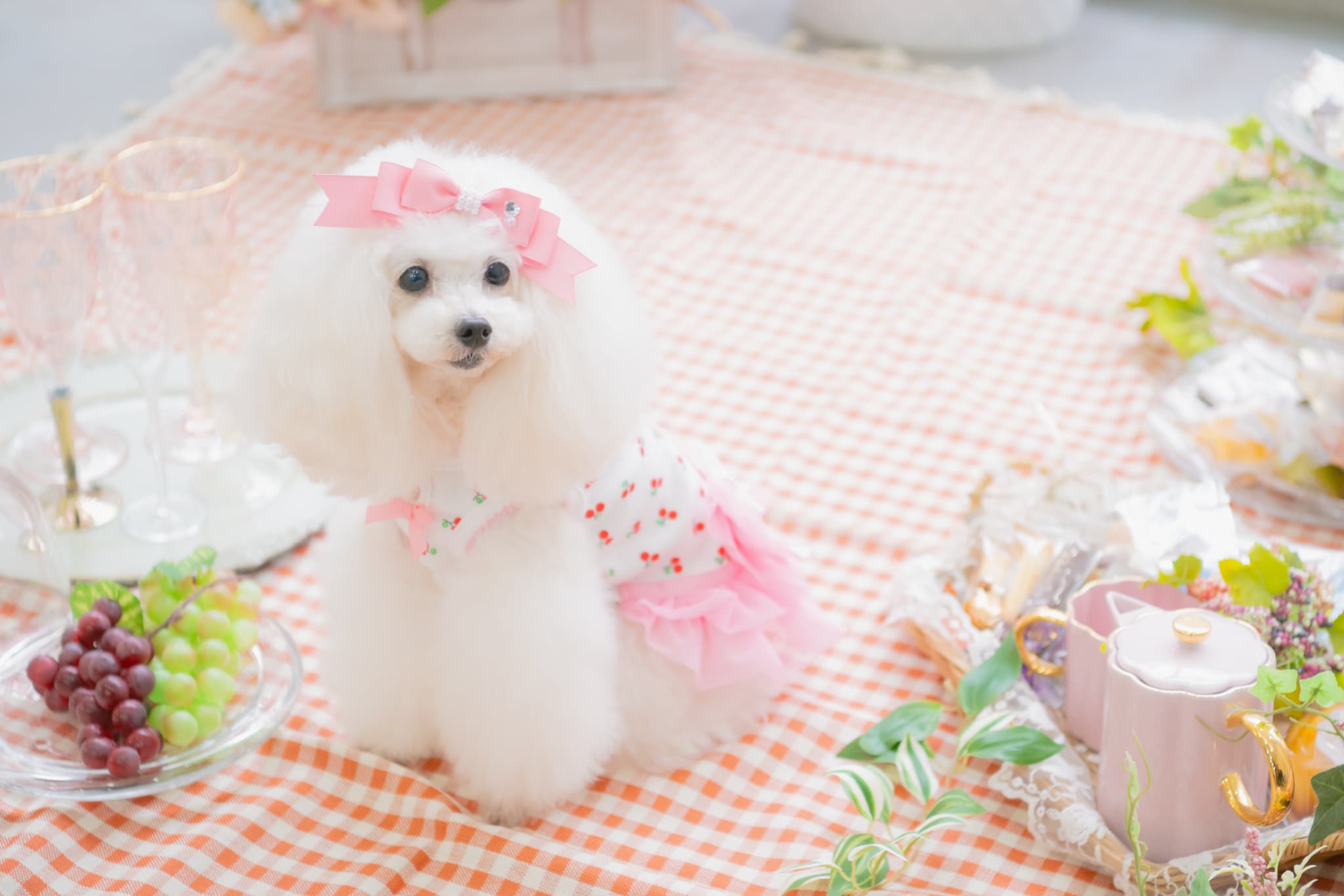 さくらんぼカットソードッキングワンピース