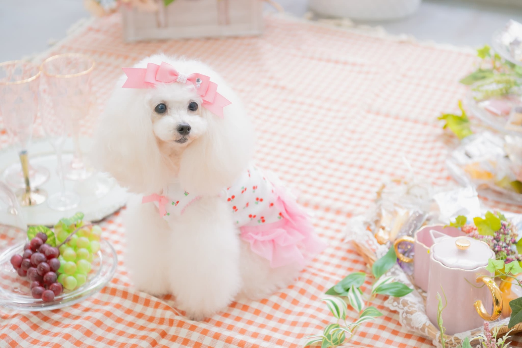 さくらんぼカットソードッキングワンピース