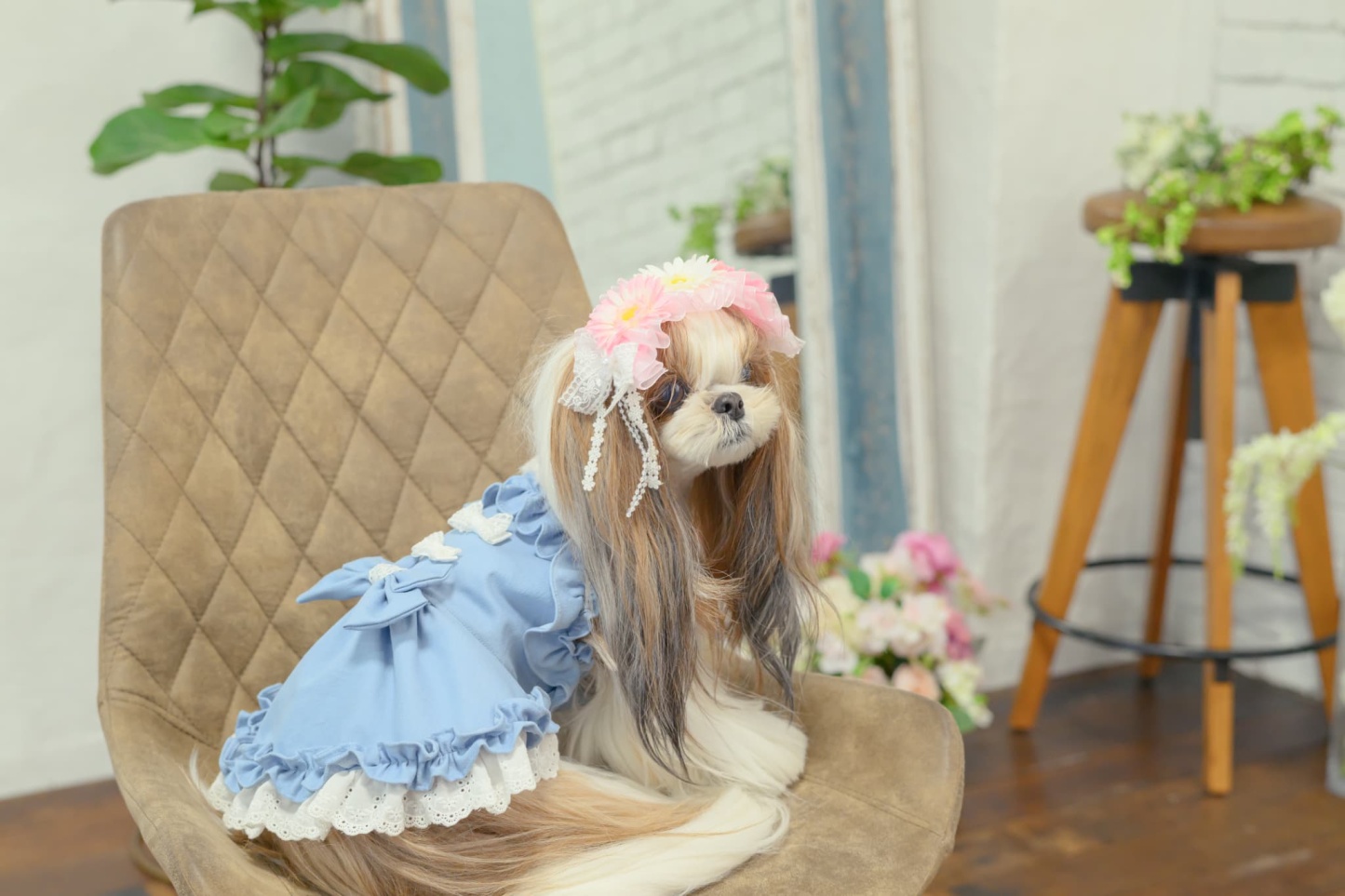 春のガーベラ ヘッドドレス