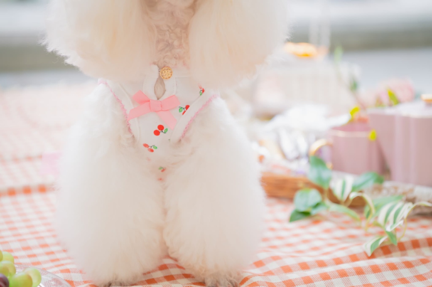 さくらんぼカットソードッキングワンピース