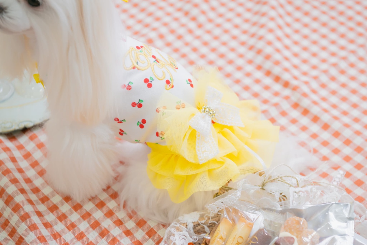 さくらんぼカットソードッキングワンピース