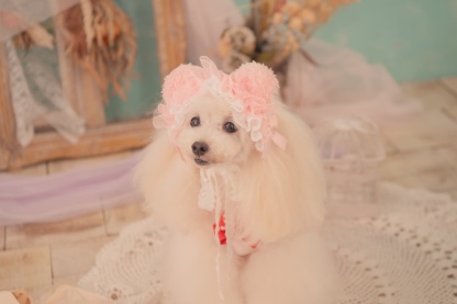 HD-033 ベビくまヘッドドレス