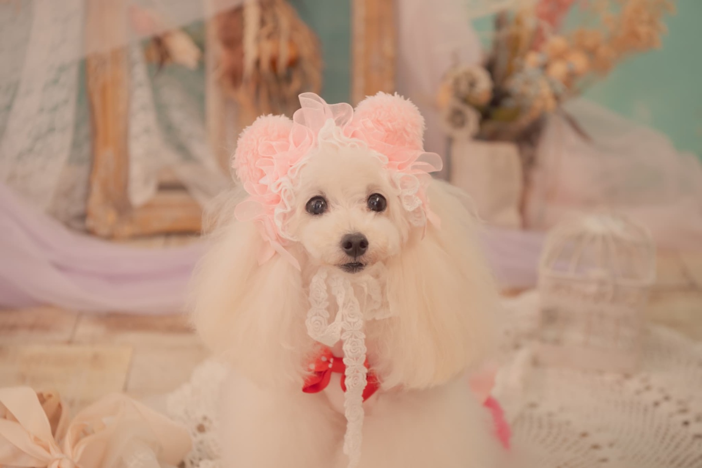 HD-033 ベビくまヘッドドレス