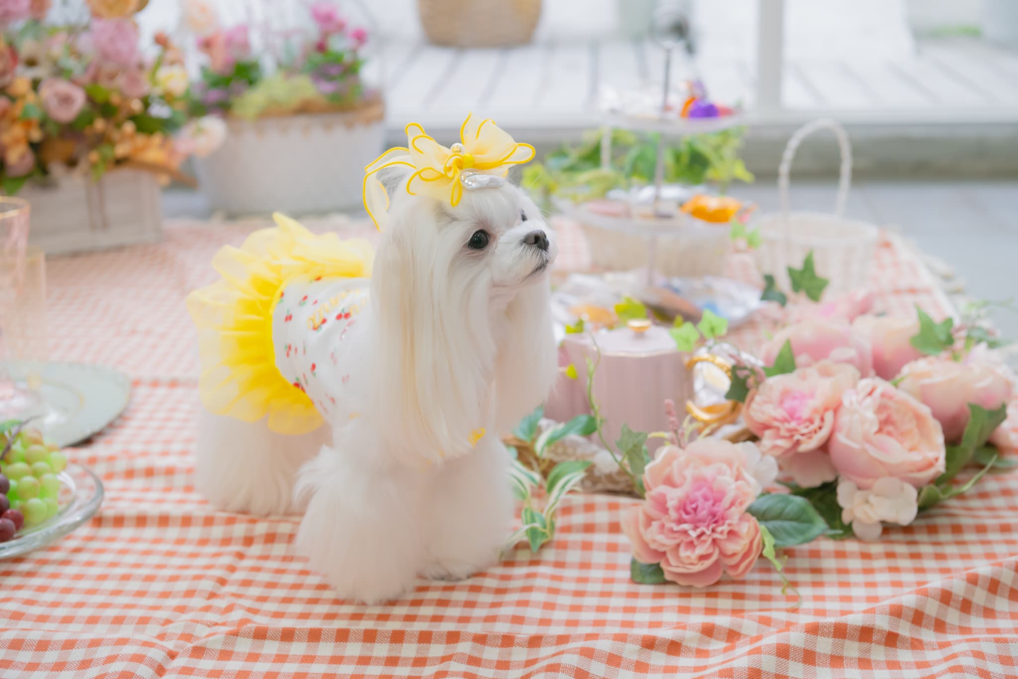 さくらんぼカットソードッキングワンピース