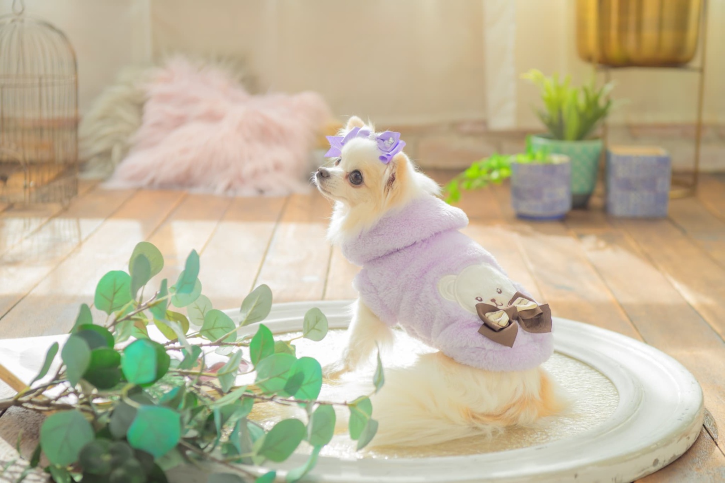 1172くまリボンボアジャケット