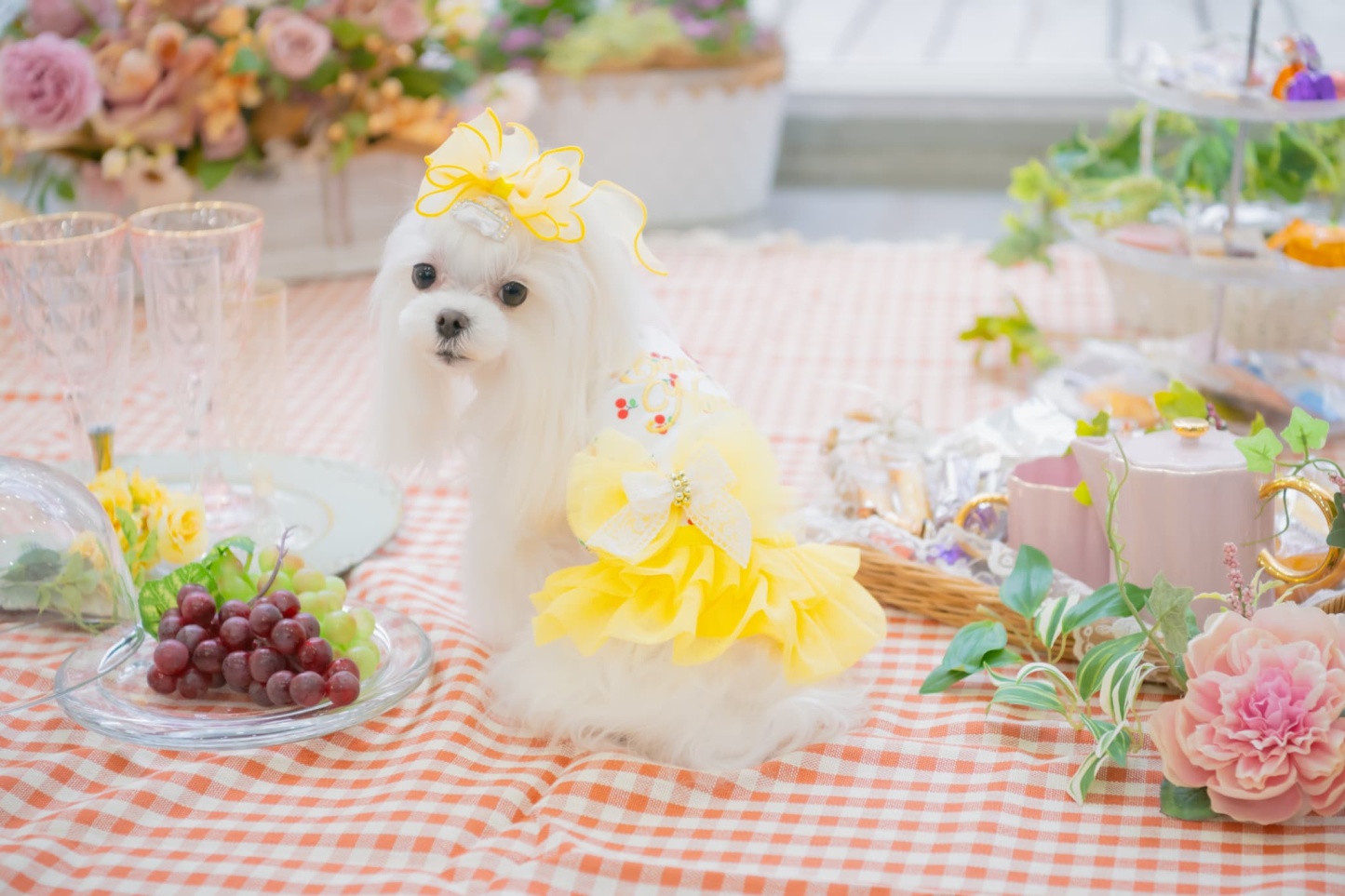 さくらんぼカットソードッキングワンピース