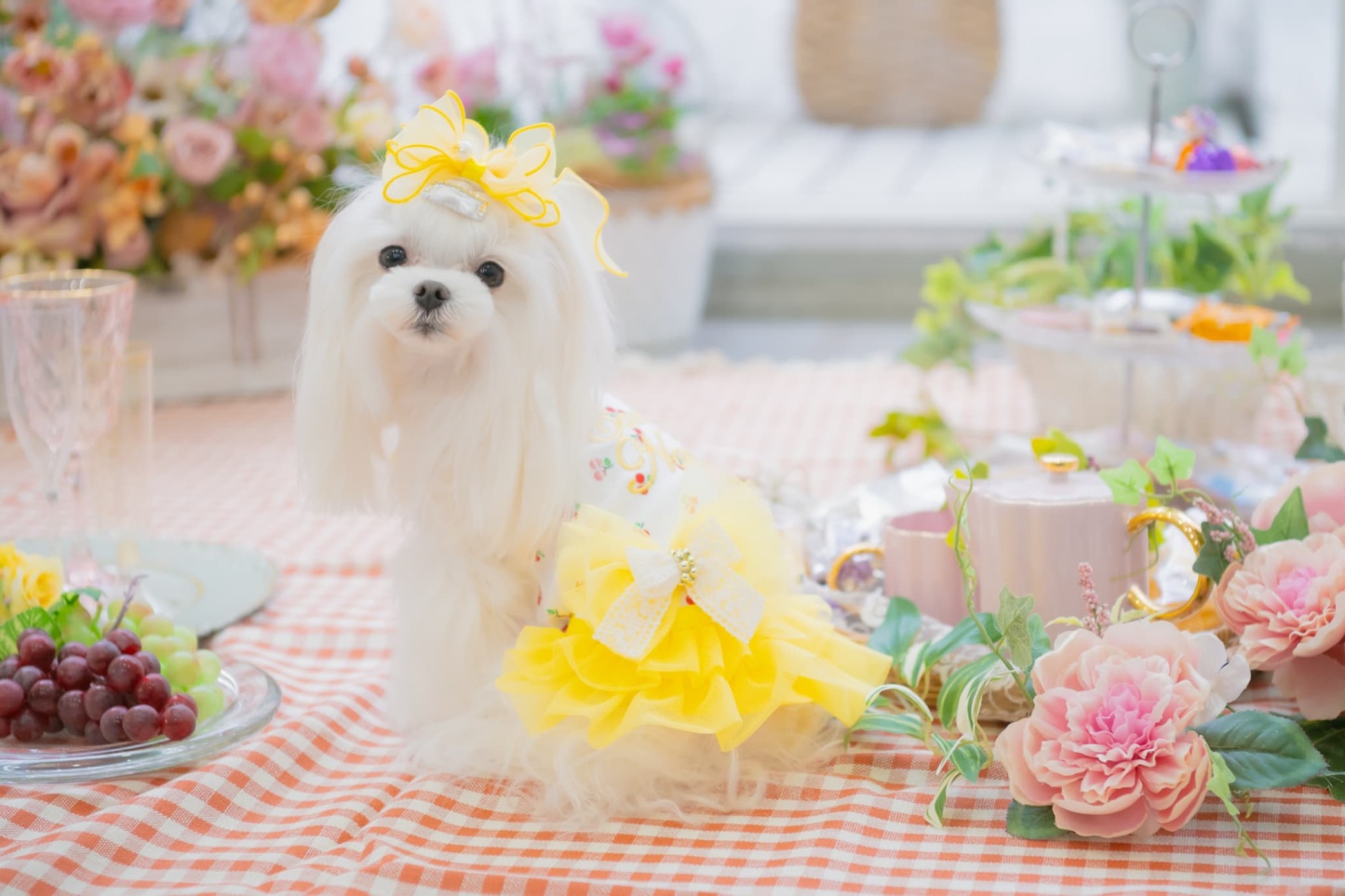 さくらんぼカットソードッキングワンピース