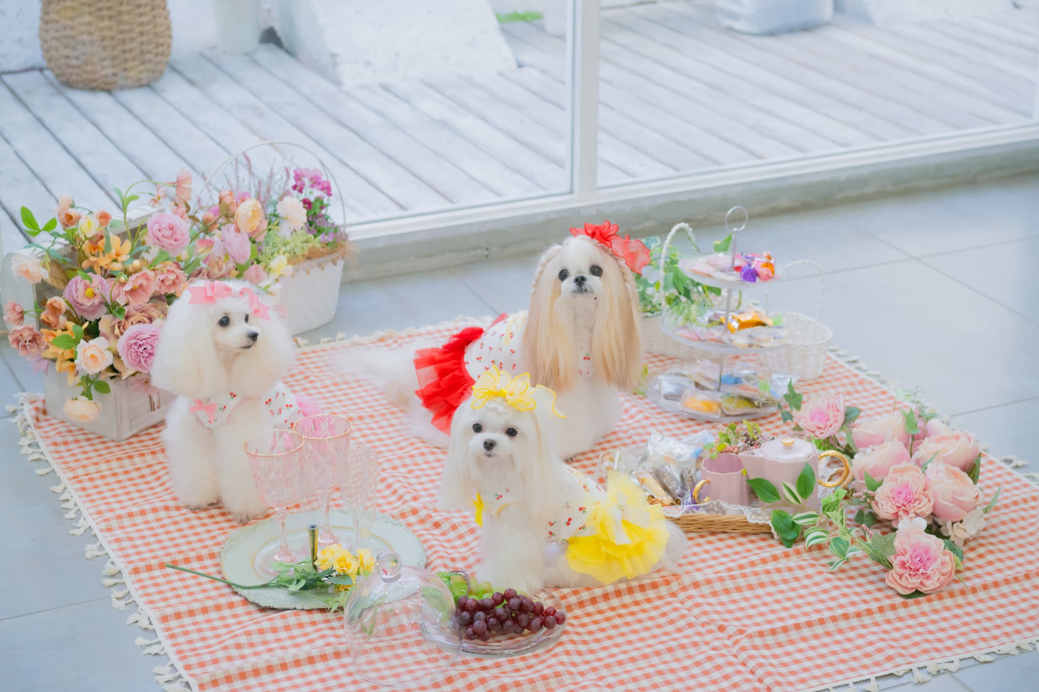 さくらんぼカットソードッキングワンピース