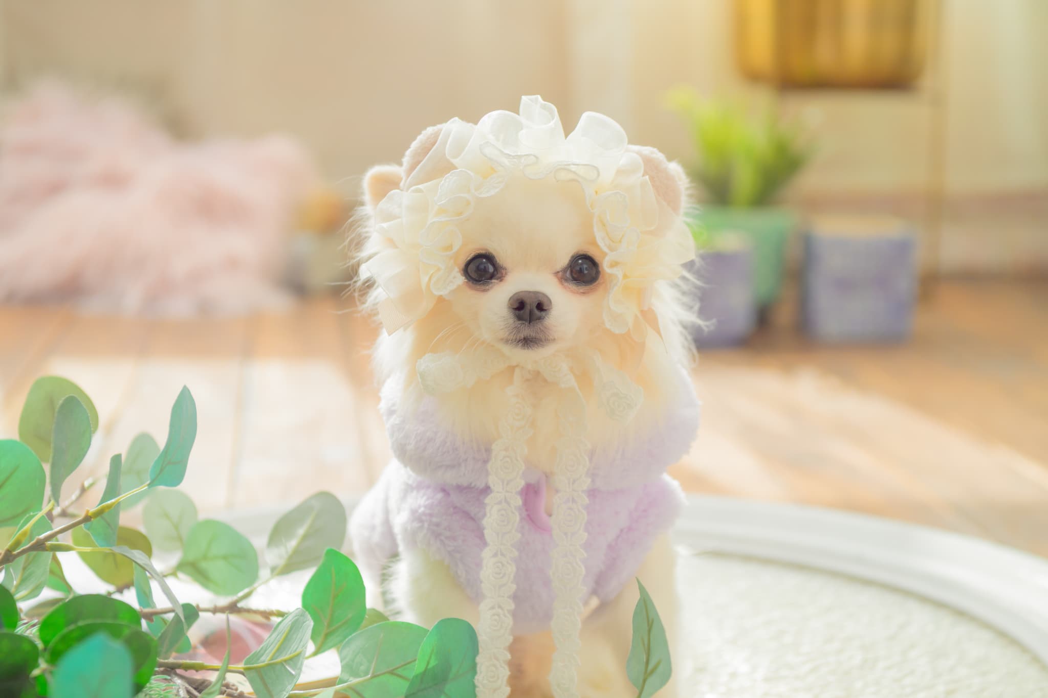 1172くまリボンボアジャケット