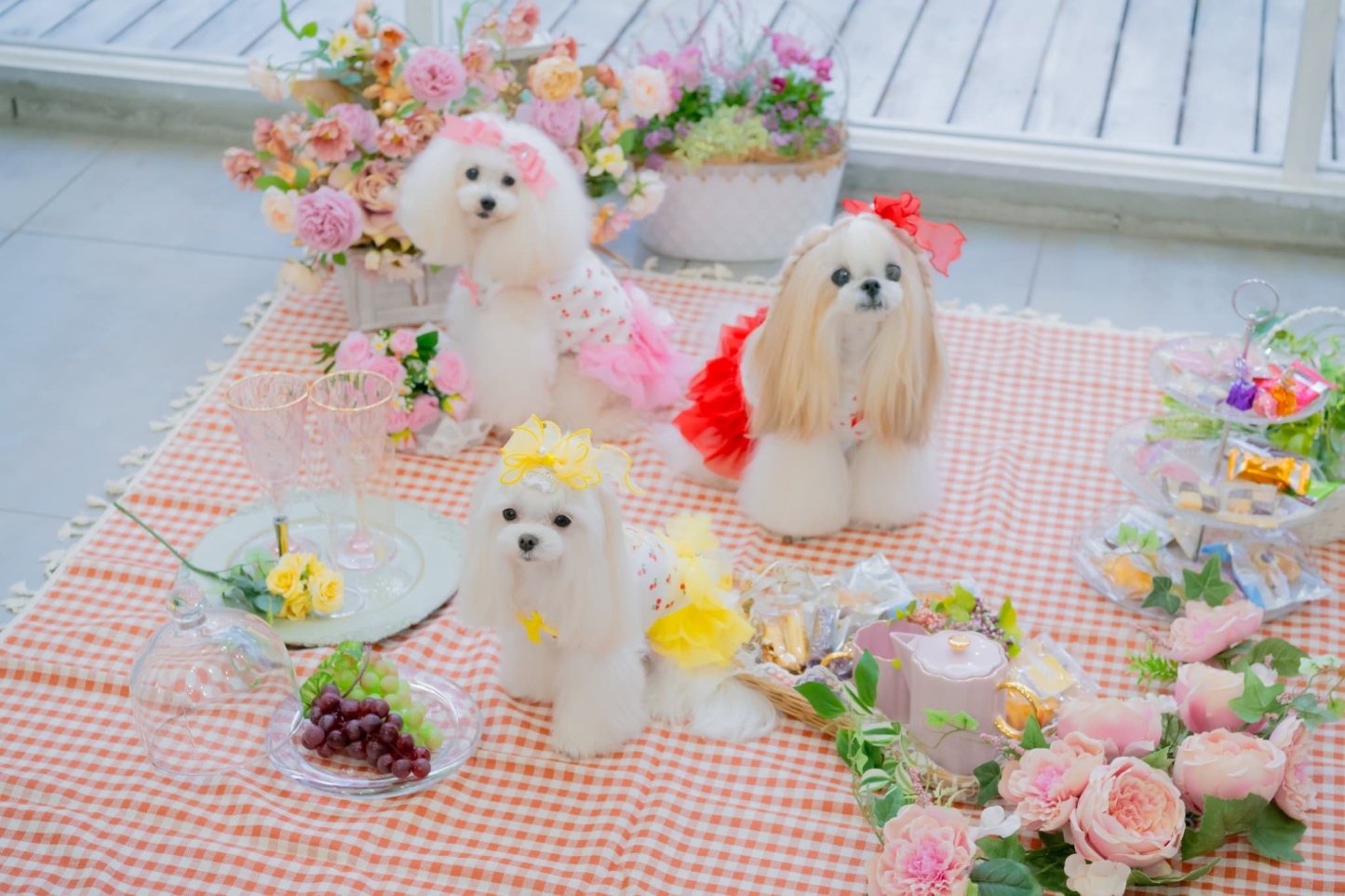 さくらんぼカットソードッキングワンピース