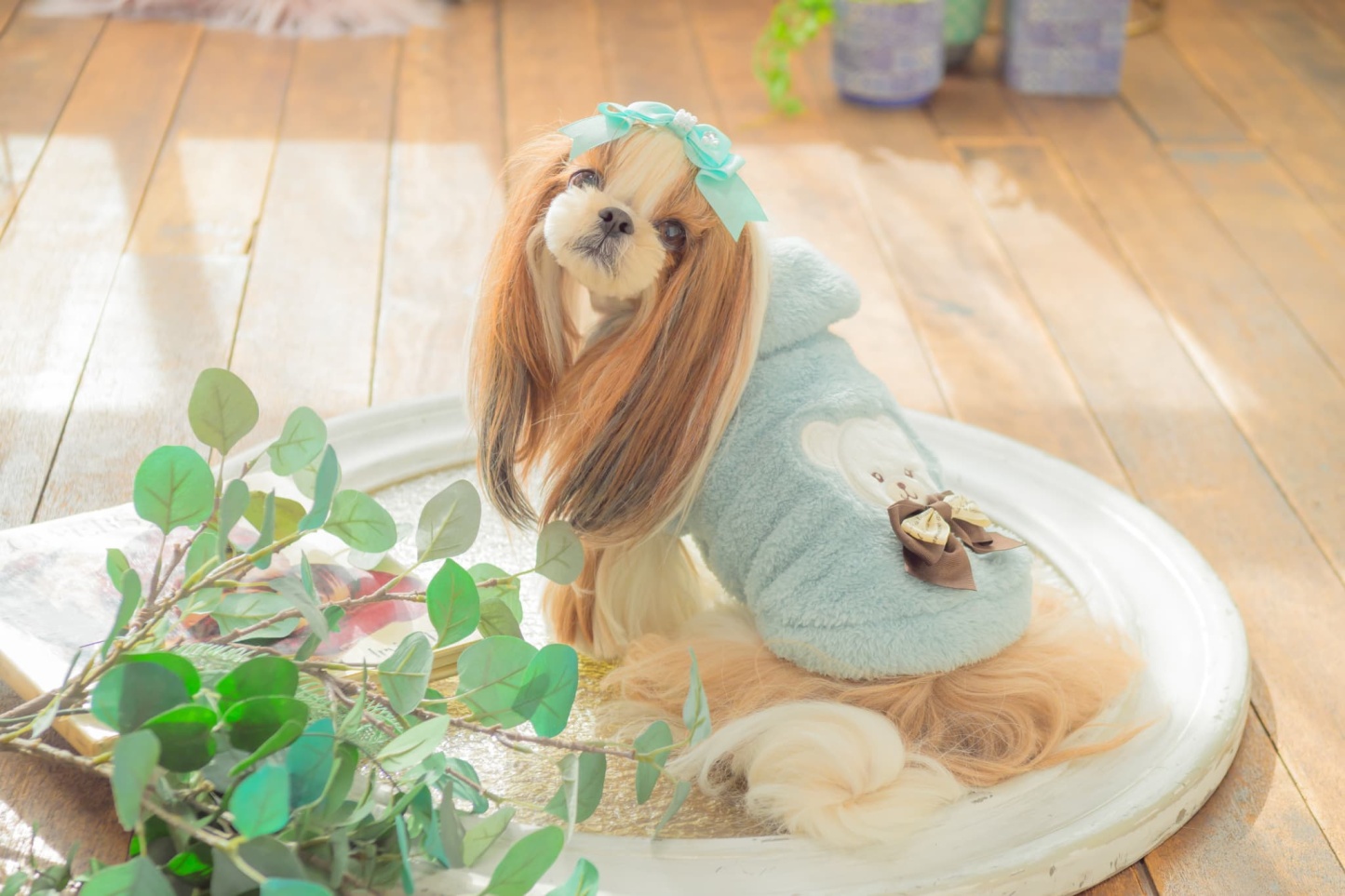 1172くまリボンボアジャケット