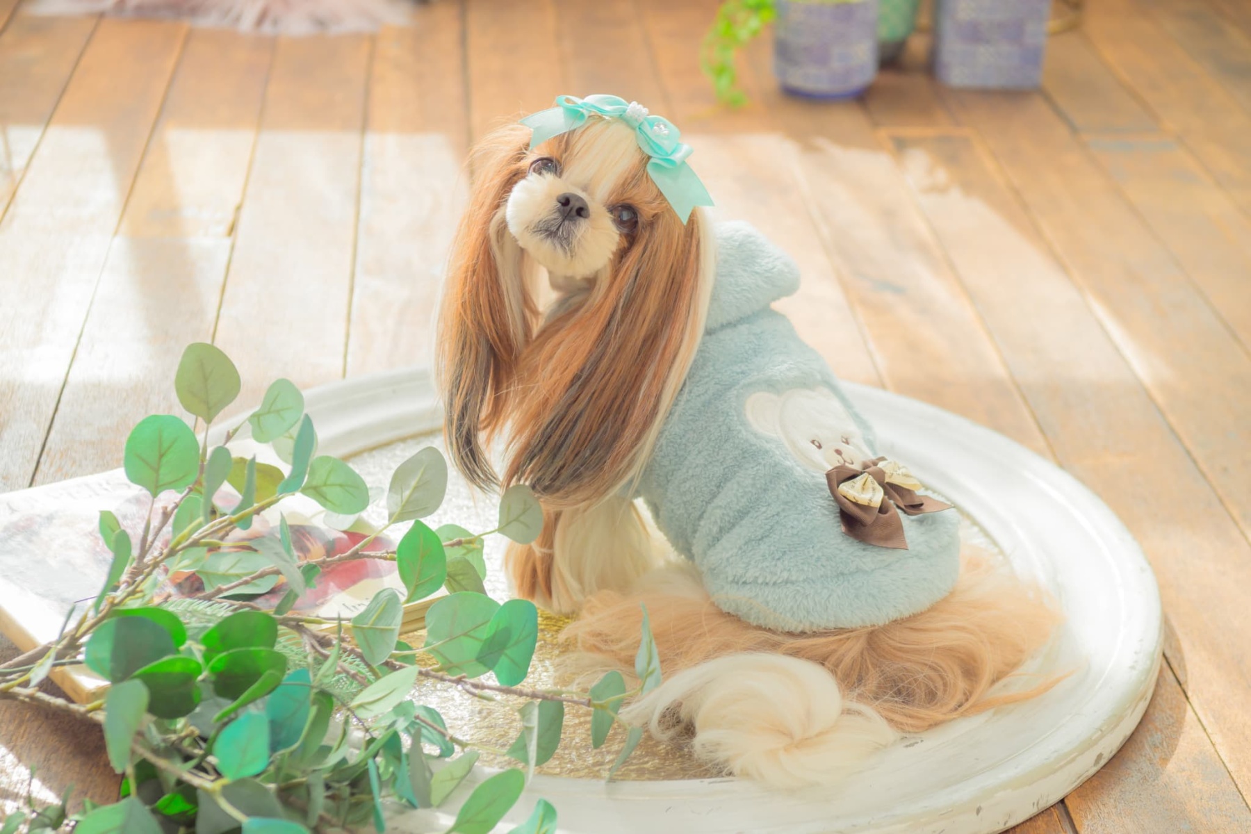 1172くまリボンボアジャケット