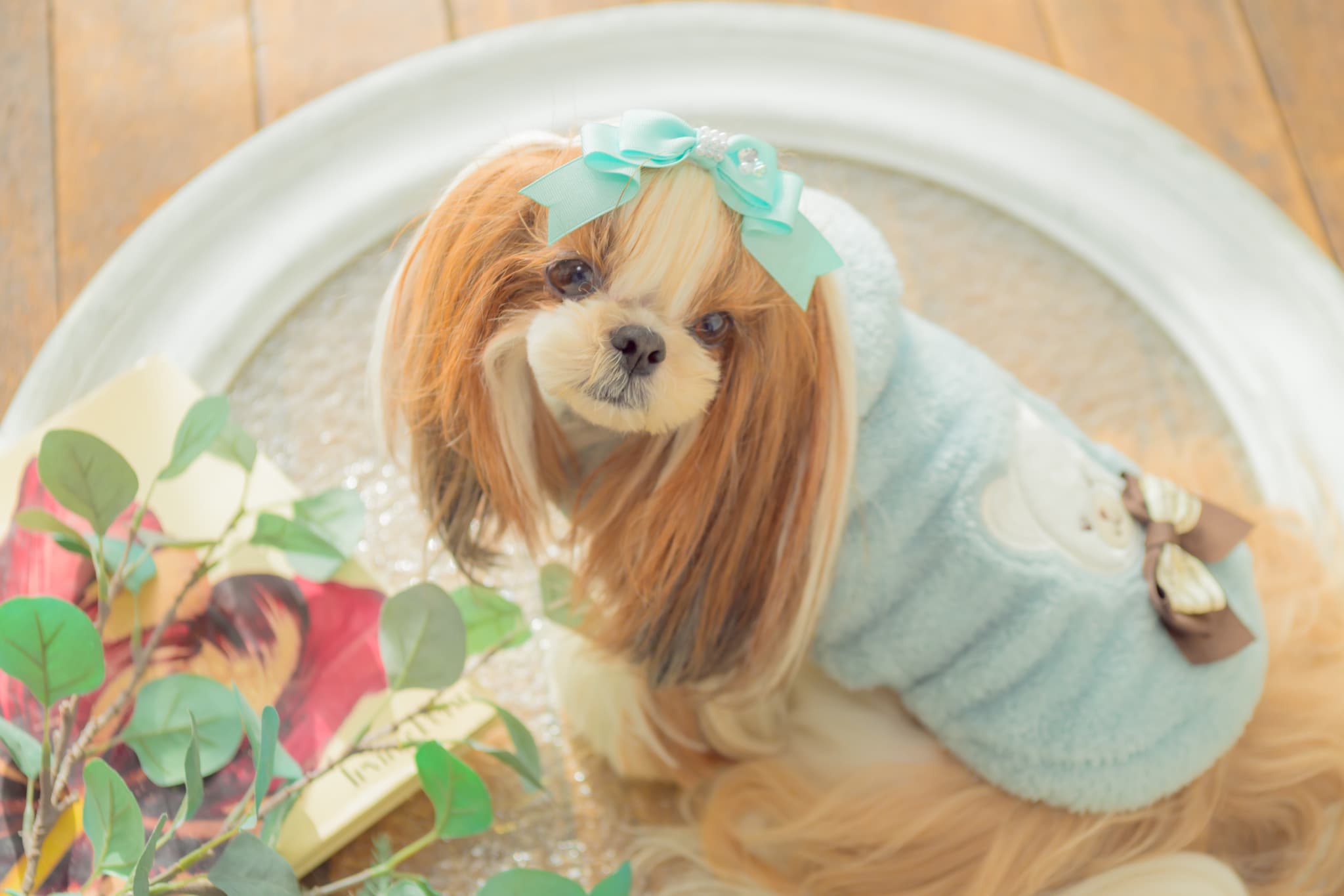 1172くまリボンボアジャケット