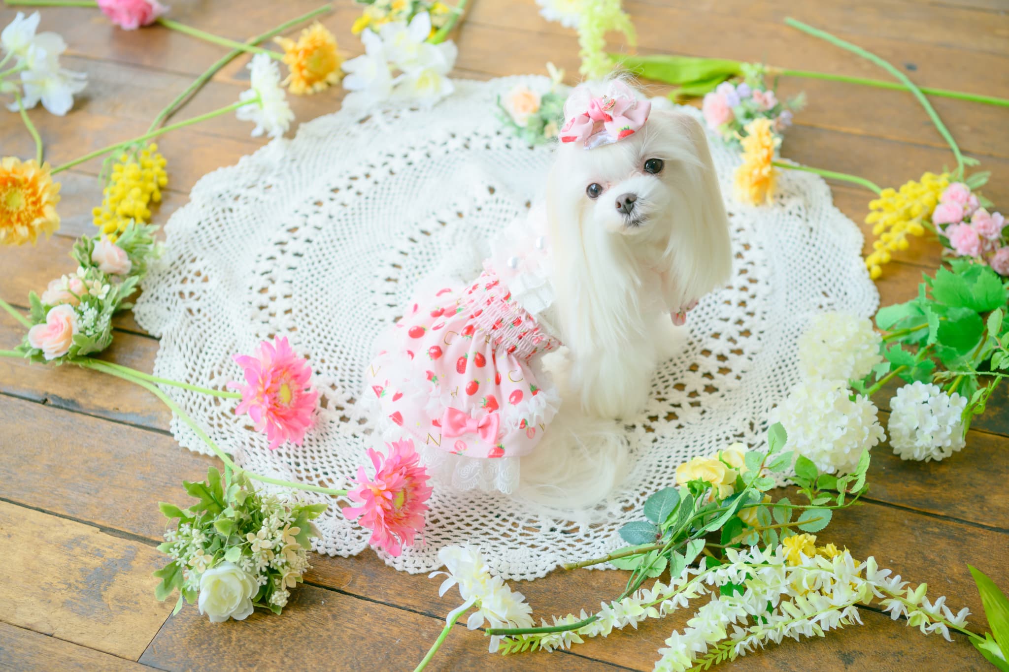 いちご柄シフォンドッキングワンピース