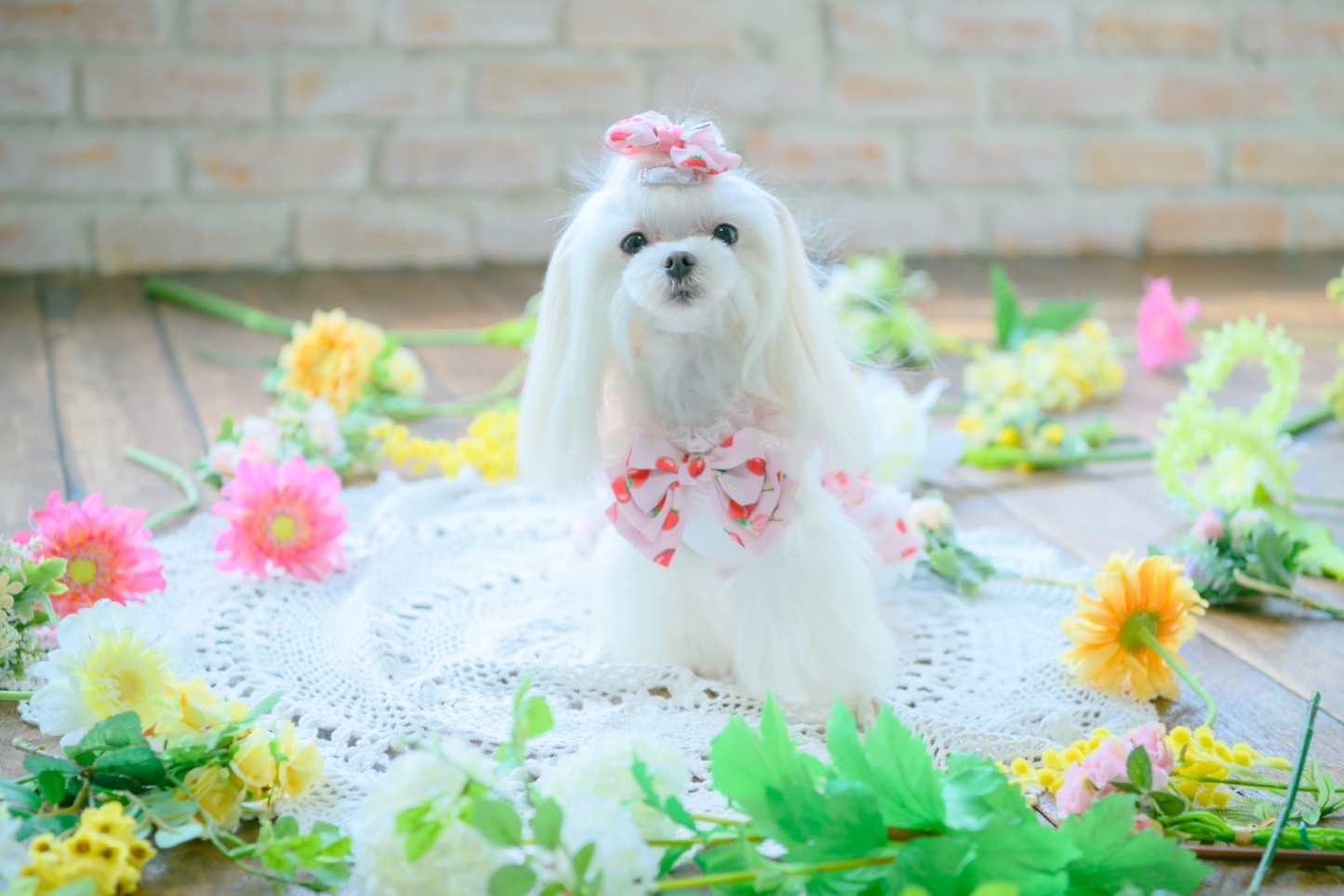 いちご柄シフォンドッキングワンピース