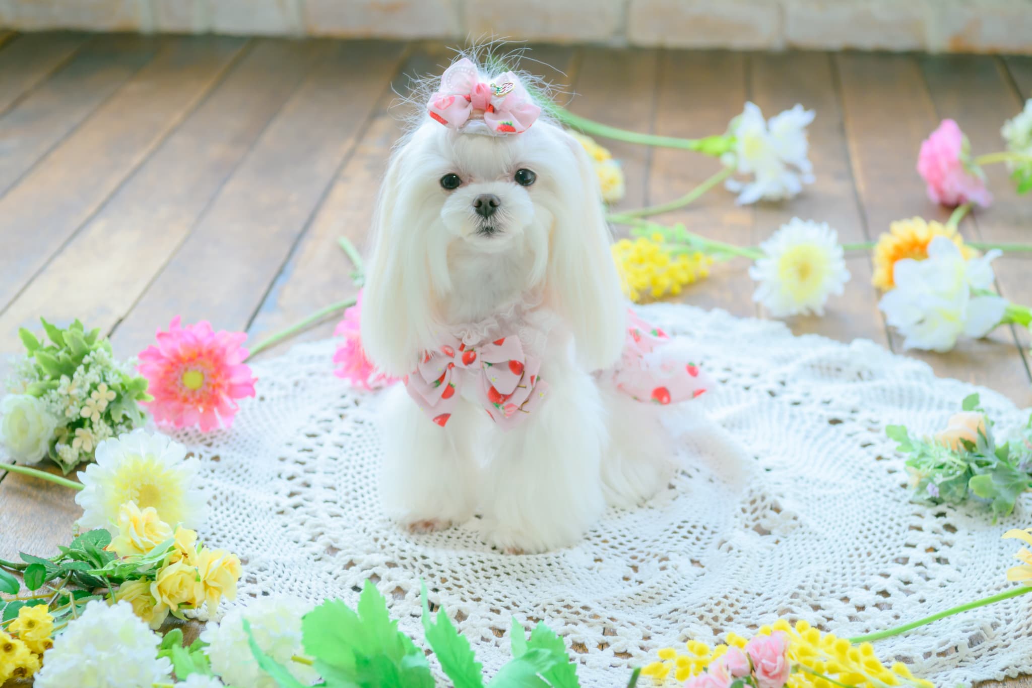 いちご柄シフォンドッキングワンピース