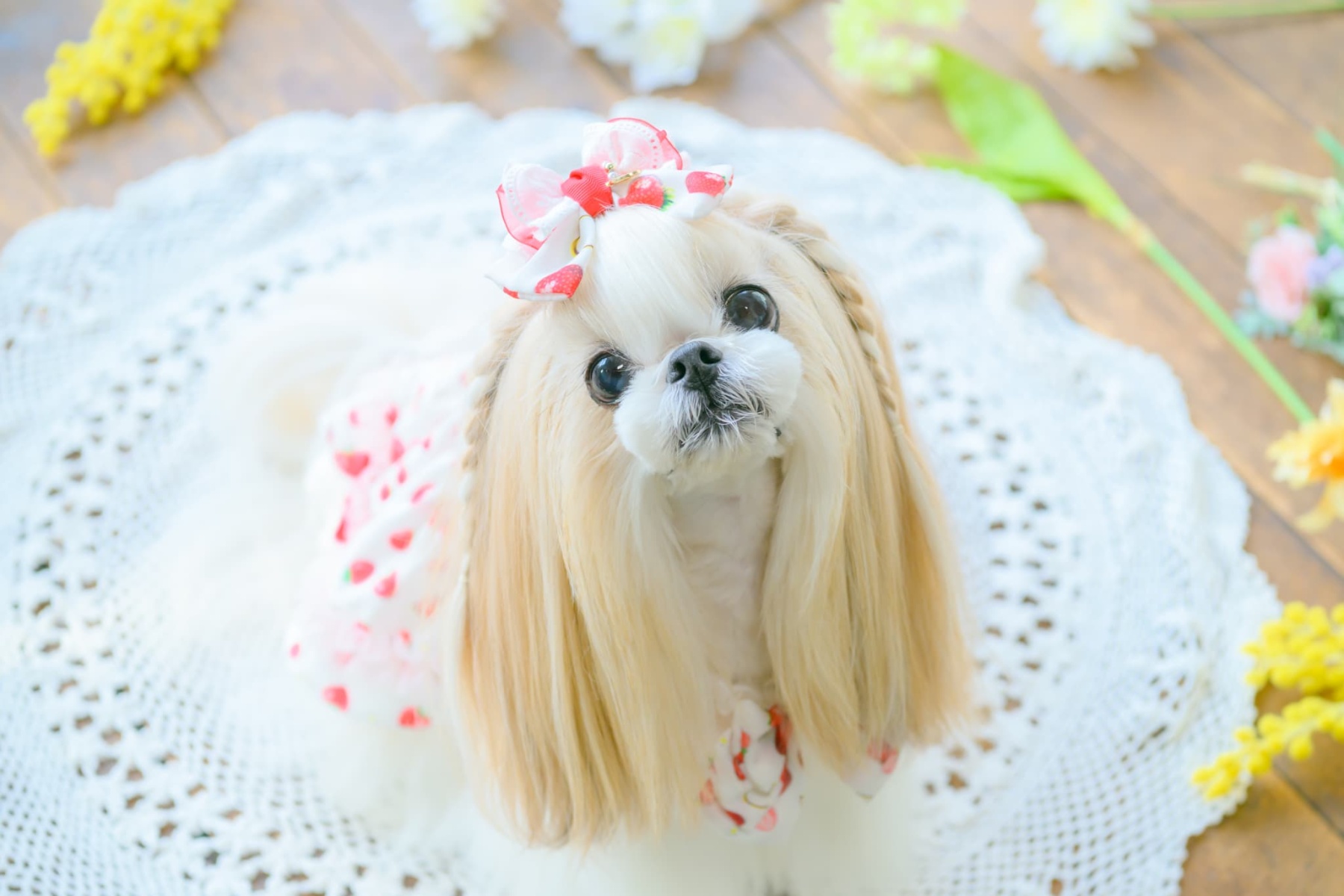 いちご柄シフォンバレッタリボン