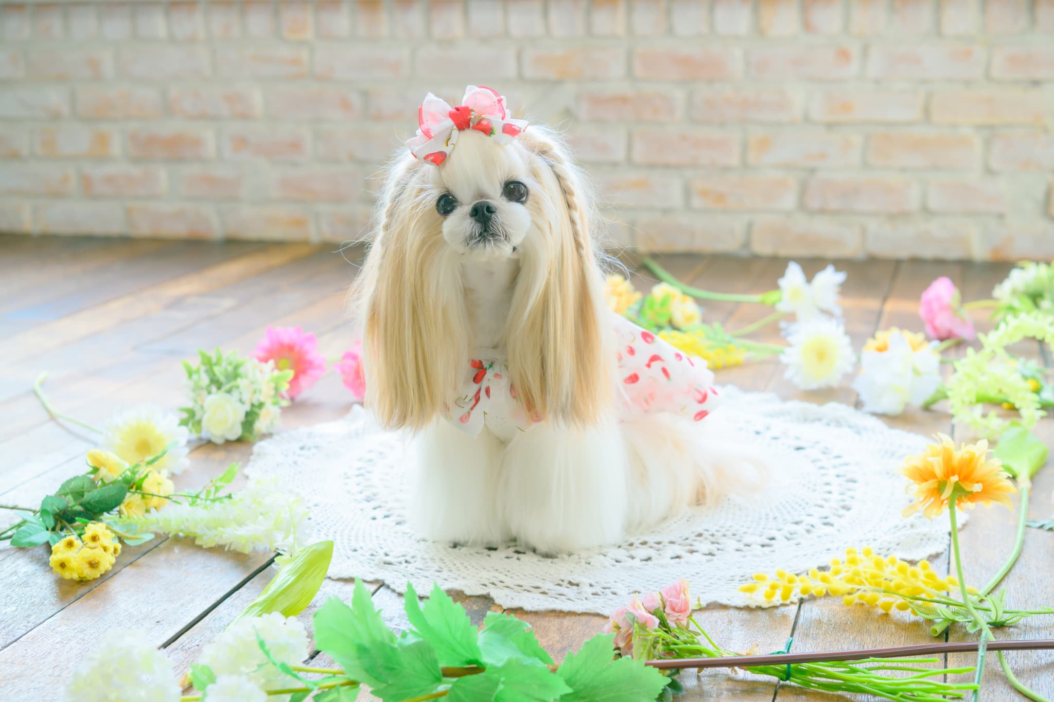 いちご柄シフォンバレッタリボン