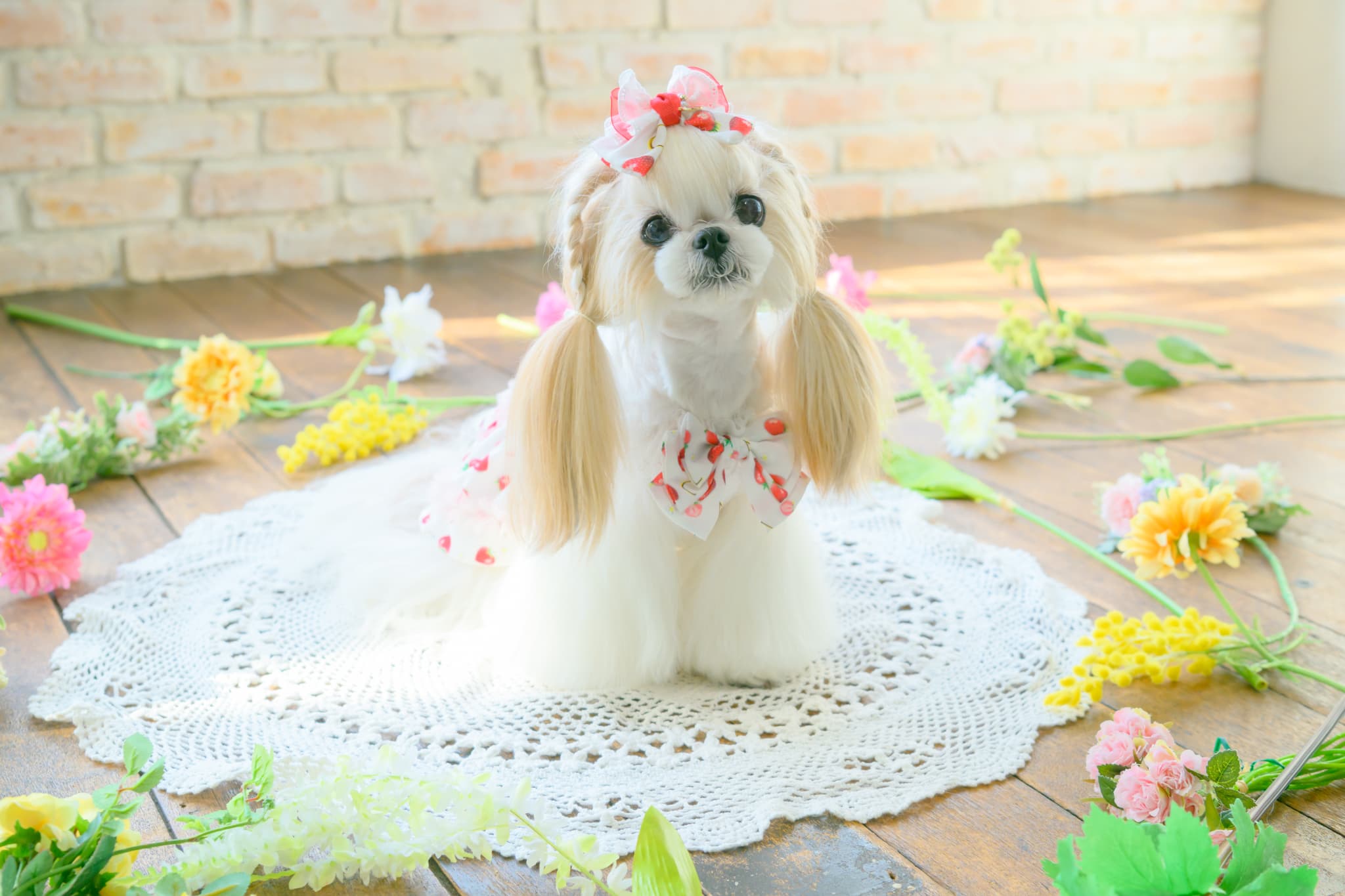 いちご柄シフォンバレッタリボン