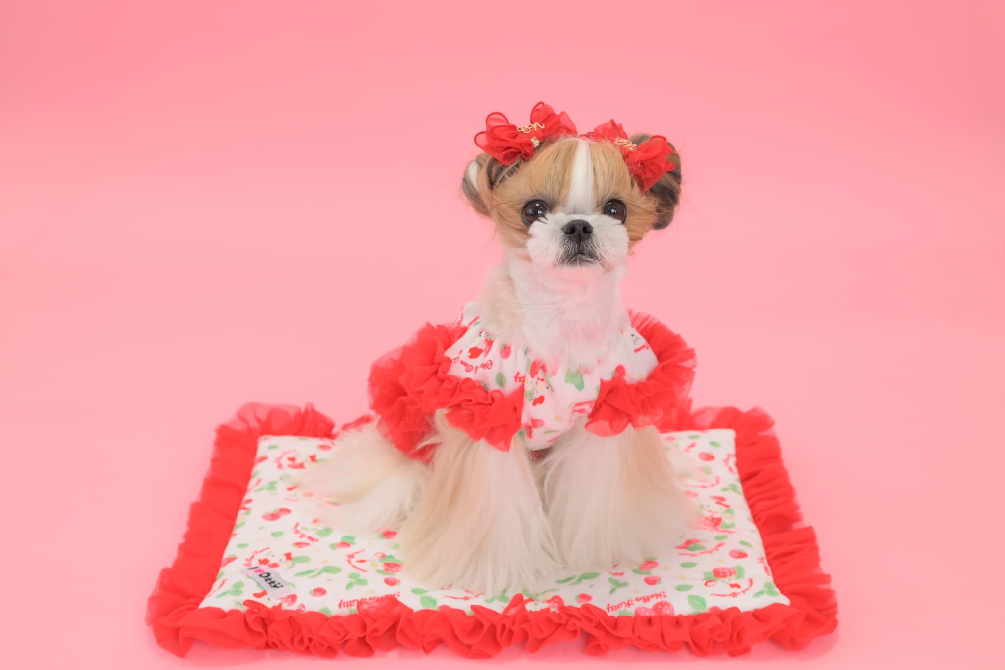 K-002 【Otty×CanNanaコラボ】HELLO KITTY・いちご柄カフェマット