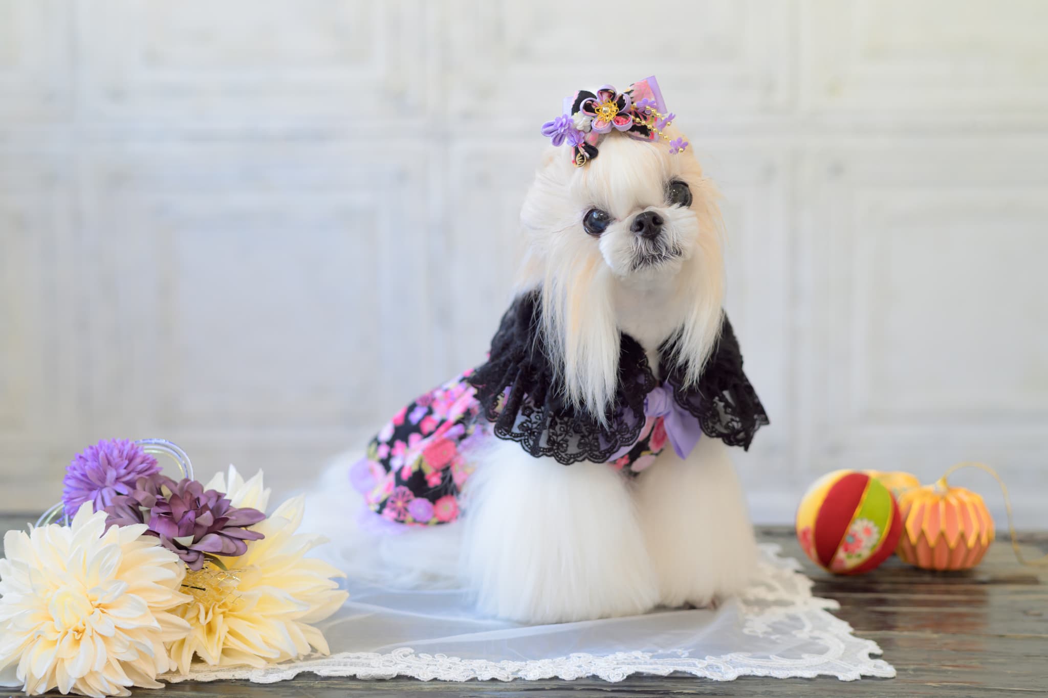 ファーとレースのドレスカラー