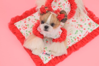 K-002 【Otty×CanNanaコラボ】HELLO KITTY・いちご柄カフェマット