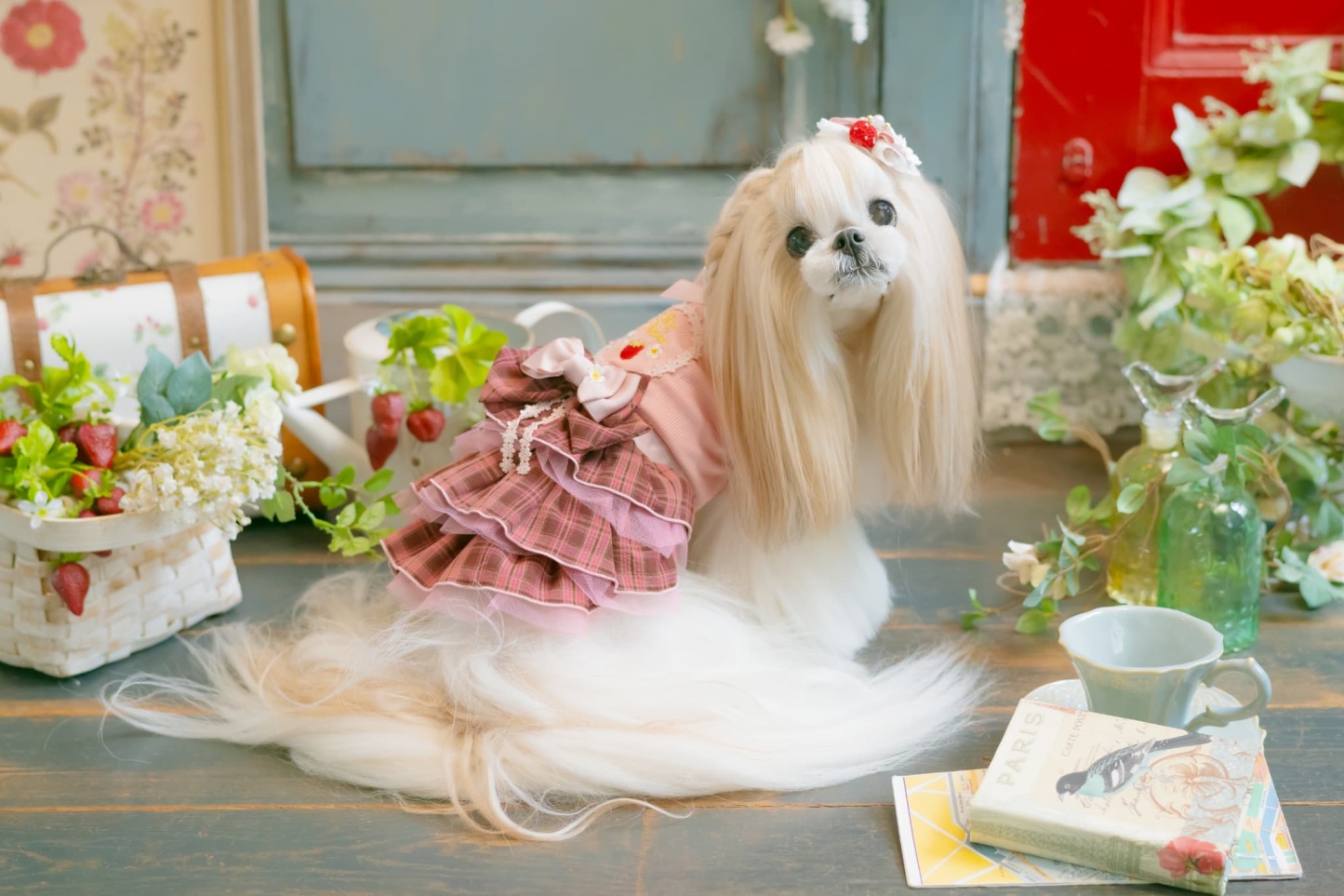 レトロいちごタータンチェックワンピース