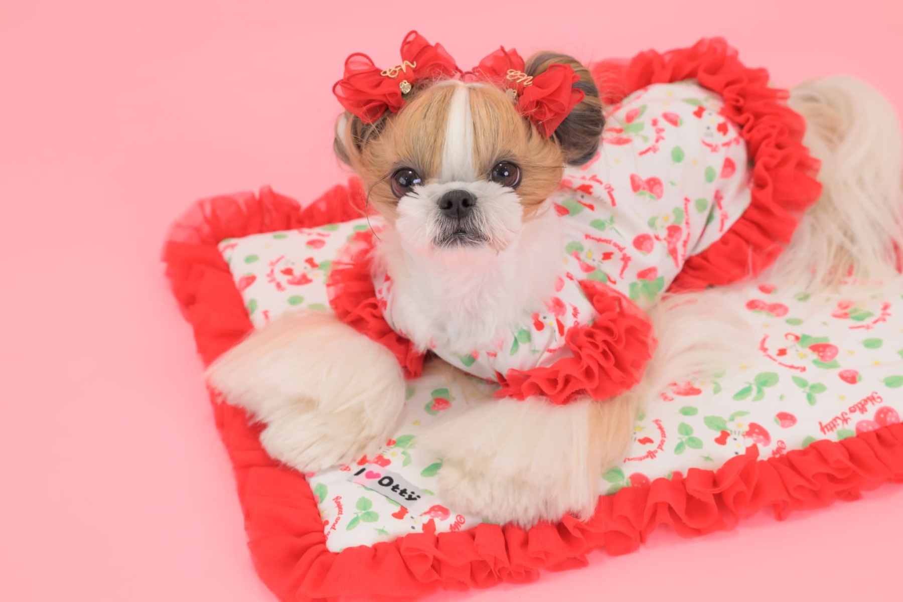 K-002 【Otty×CanNanaコラボ】HELLO KITTY・いちご柄カフェマット