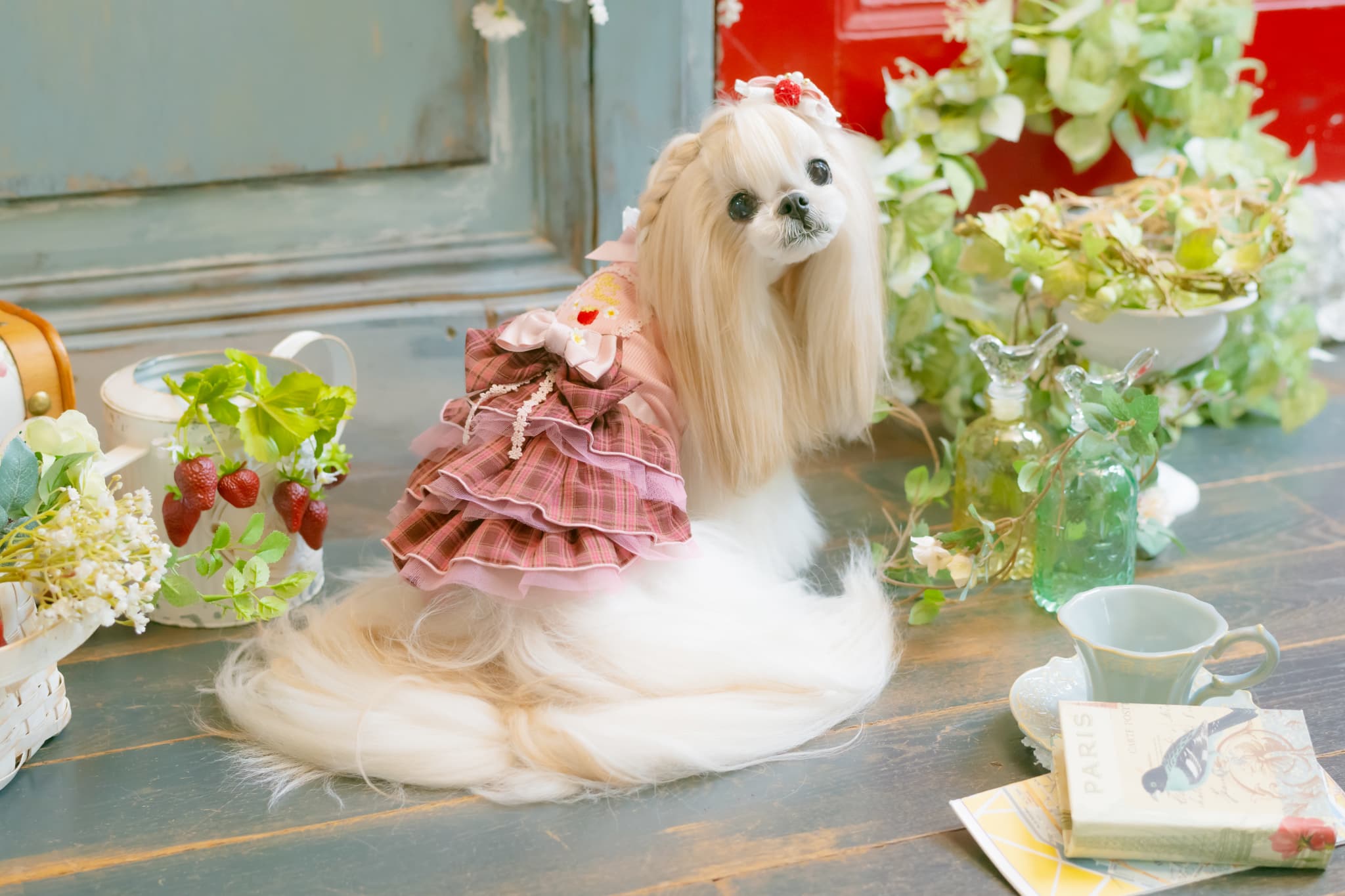 レトロいちごタータンチェックワンピース