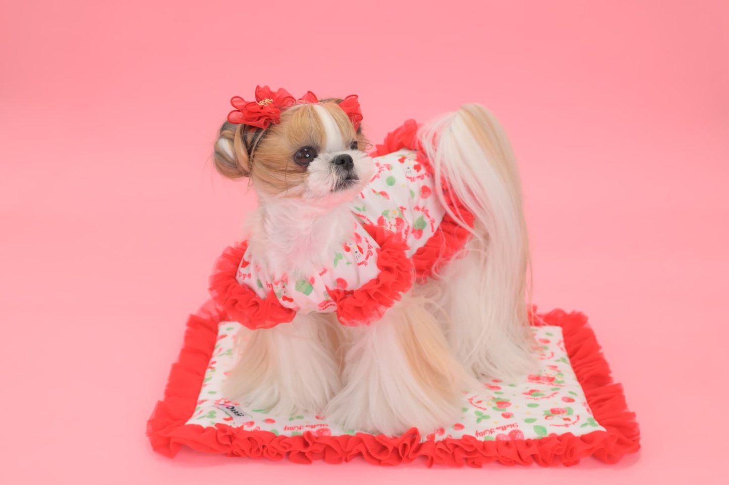 K-001 【Otty×CanNanaコラボ】HELLO KITTY・いちご柄ワンピース