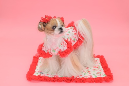 K-001 【Otty×CanNanaコラボ】HELLO KITTY・いちご柄ワンピース