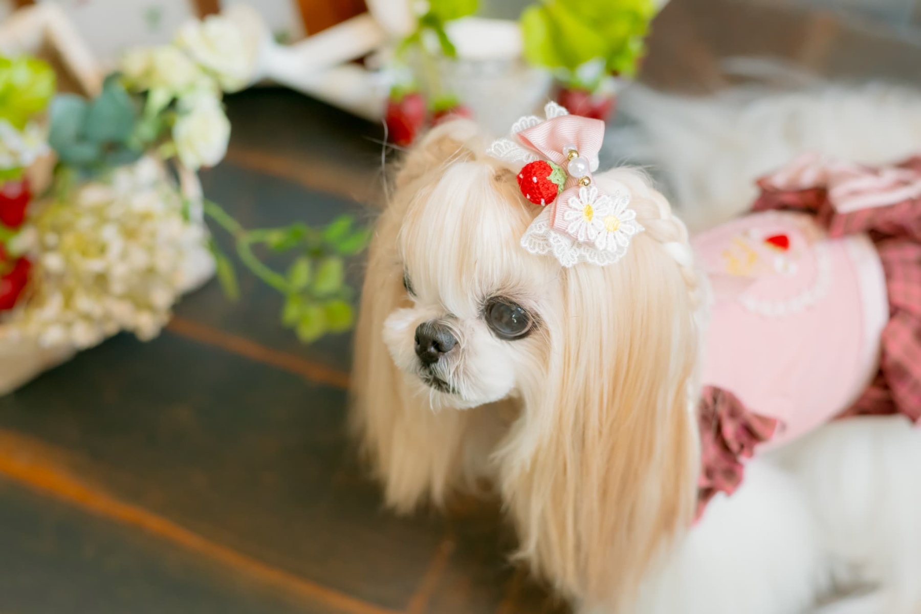 お花といちごのバレッタリボン