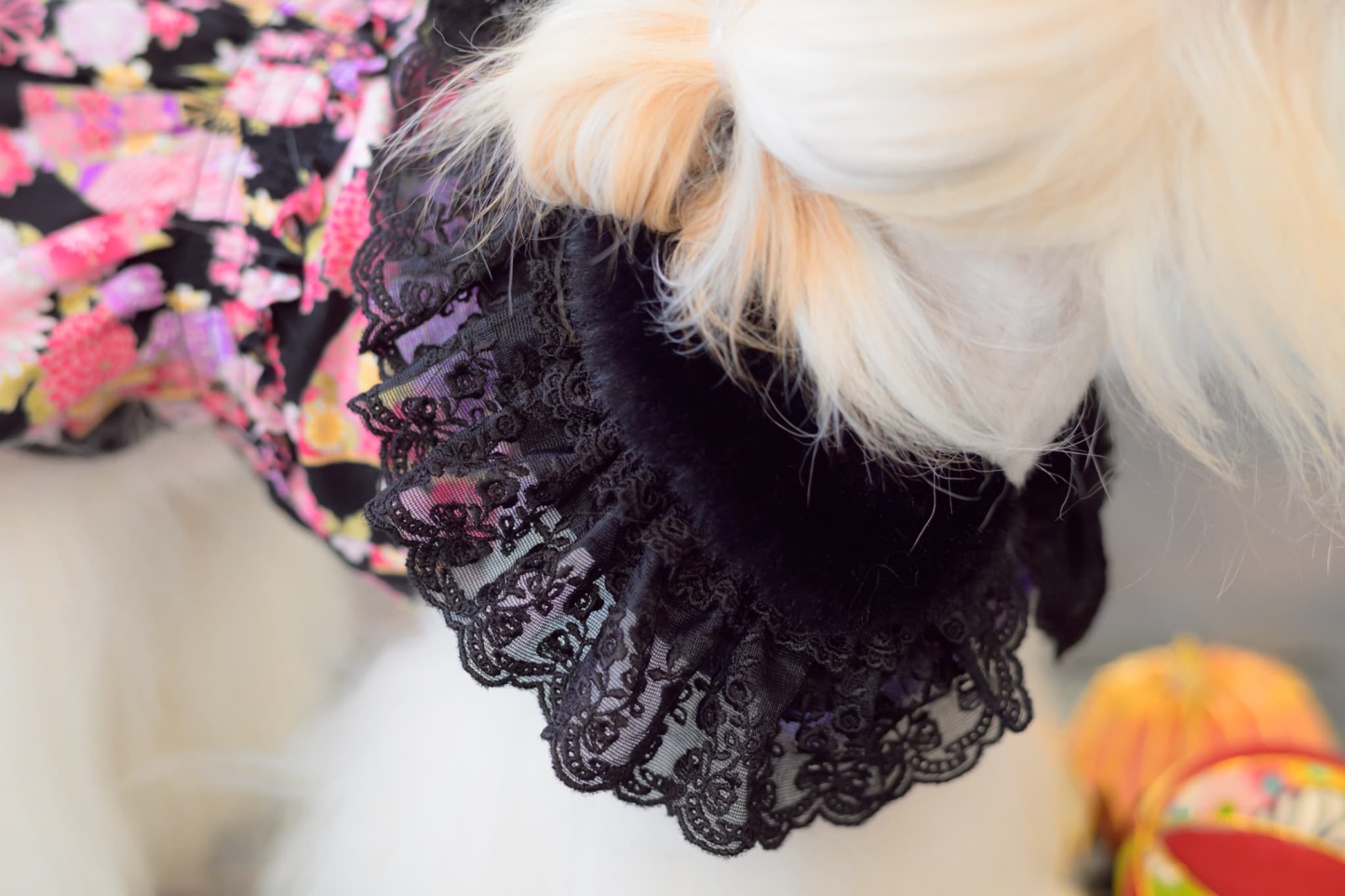 ファーとレースのドレスカラー