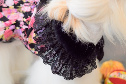 ファーとレースのドレスカラー