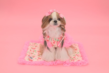 K-002 【Otty×CanNanaコラボ】HELLO KITTY・いちご柄カフェマット