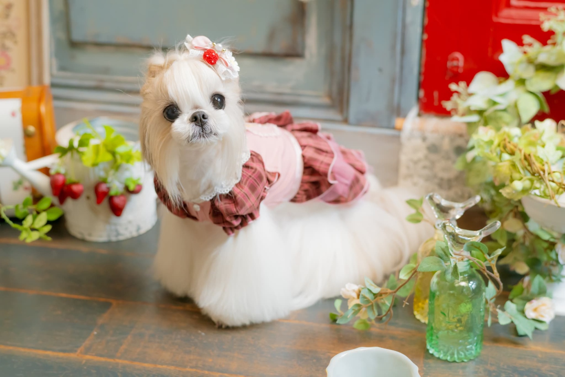 お花といちごのバレッタリボン