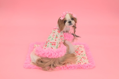 K-001 【Otty×CanNanaコラボ】HELLO KITTY・いちご柄ワンピース