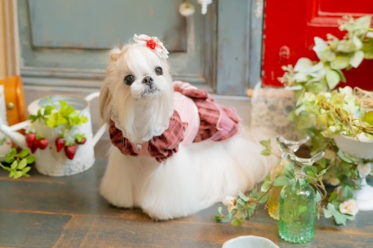 レトロいちごタータンチェックワンピース