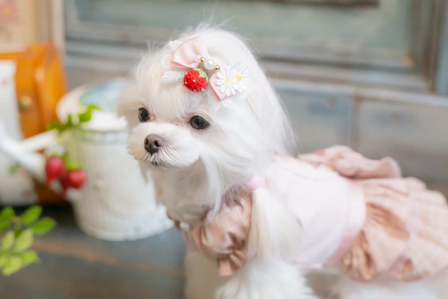 お花といちごのバレッタリボン