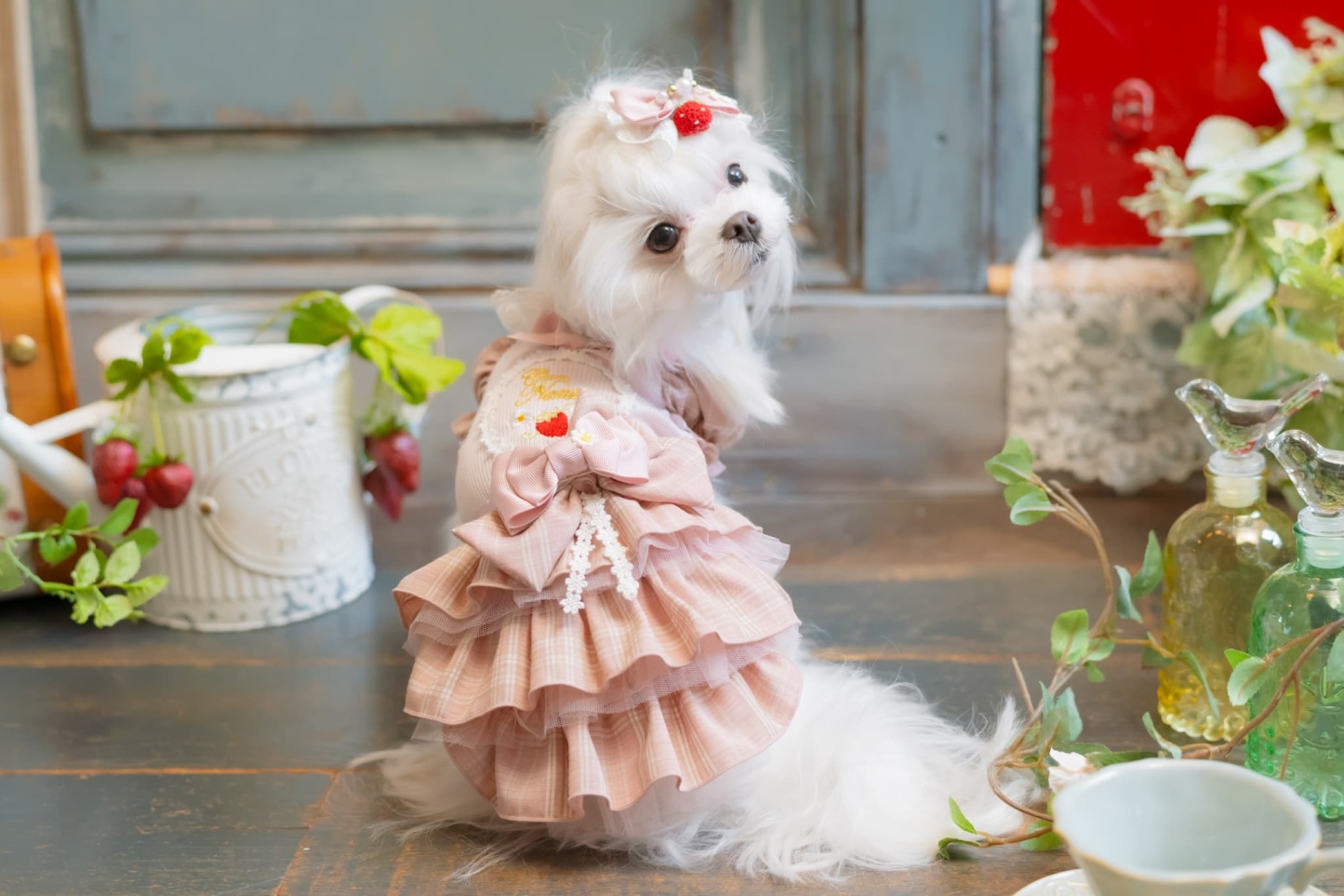 お花といちごのバレッタリボン