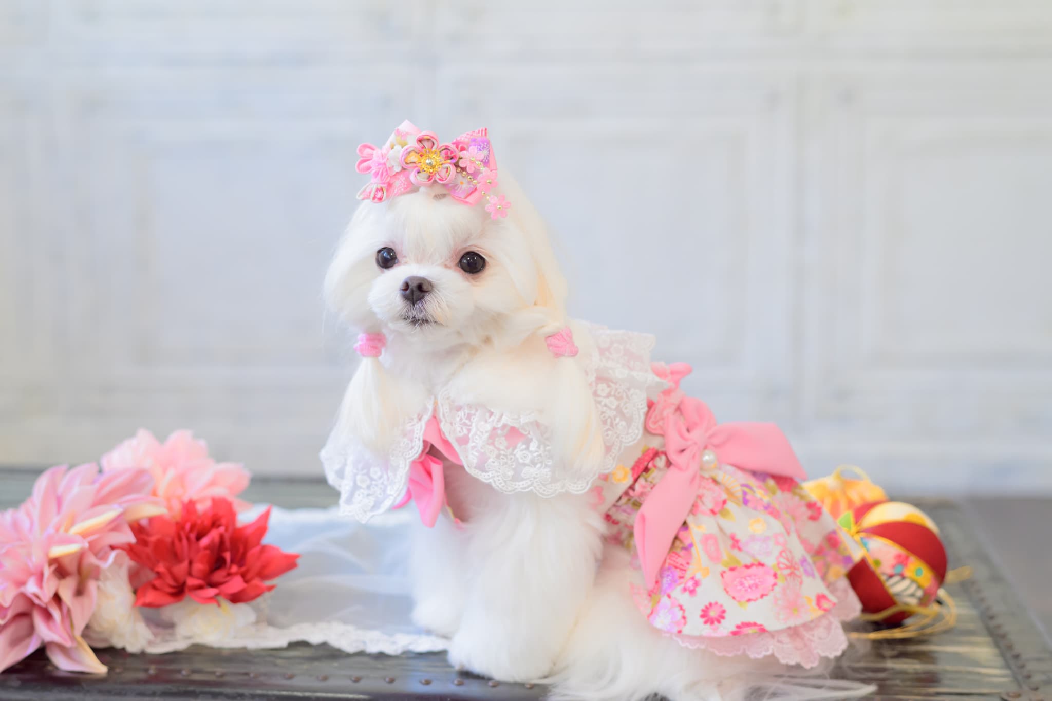 和ロリつまみ細工バレッタリボン