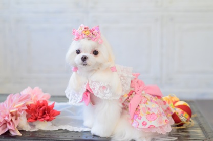 和ロリつまみ細工バレッタリボン