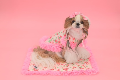 K-001 【Otty×CanNanaコラボ】HELLO KITTY・いちご柄ワンピース