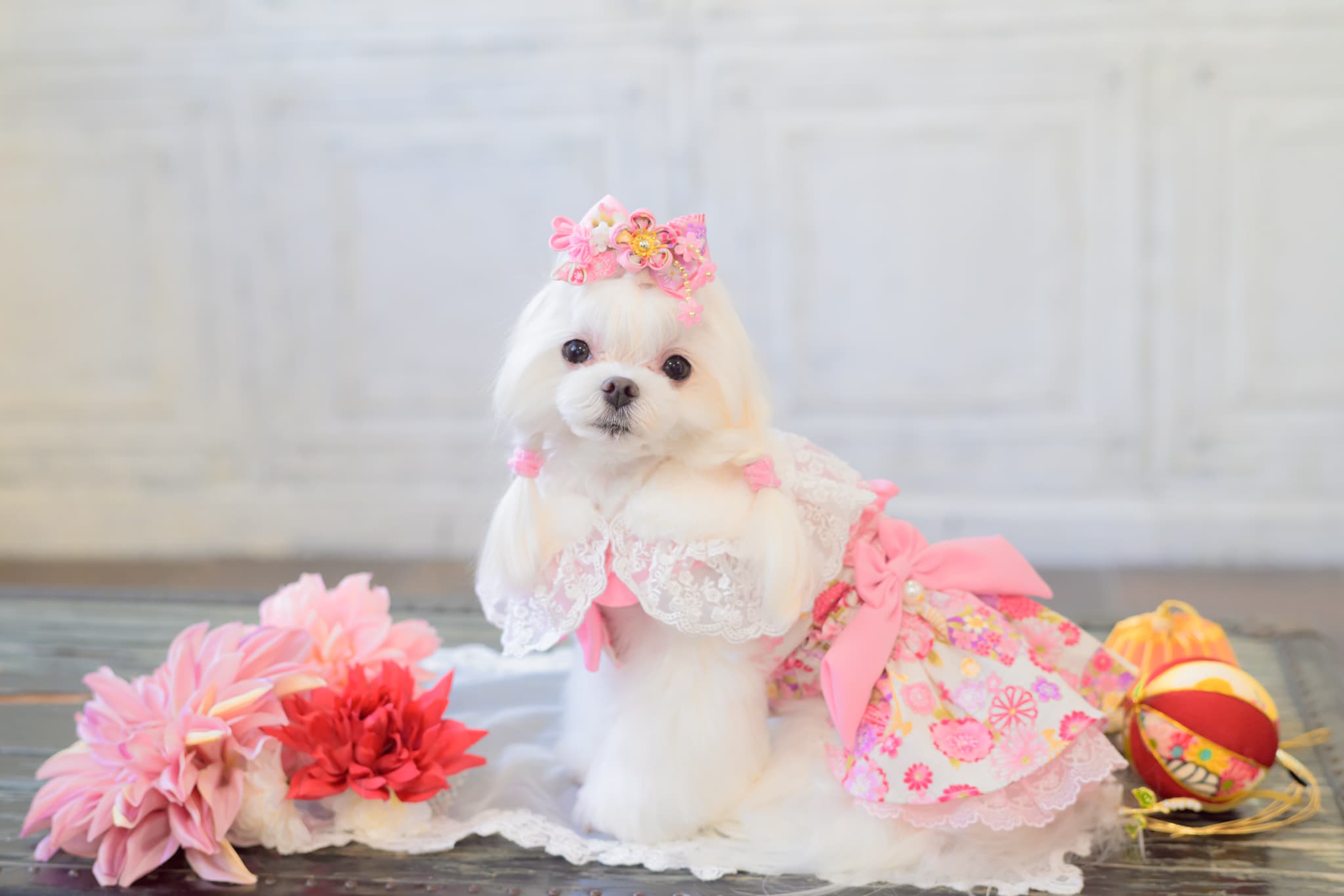 ファーとレースのドレスカラー