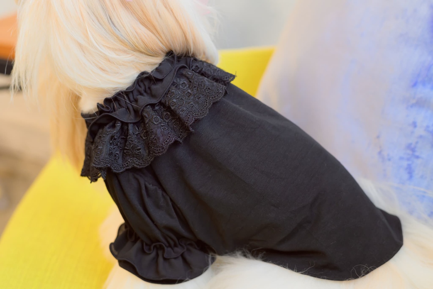 フリルカットソー