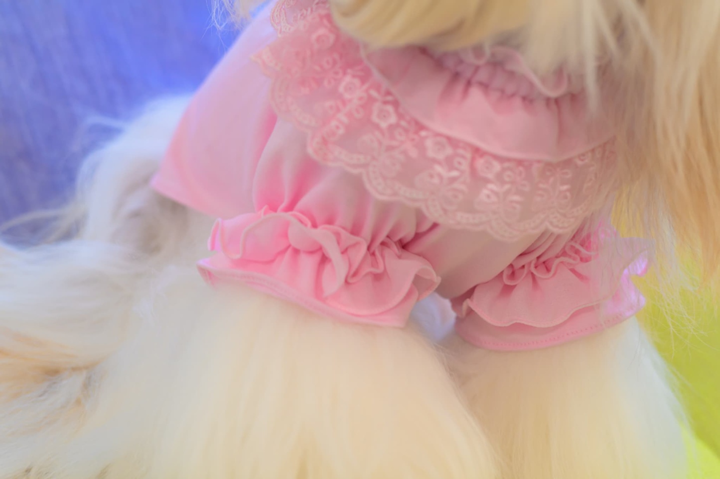 フリルカットソー