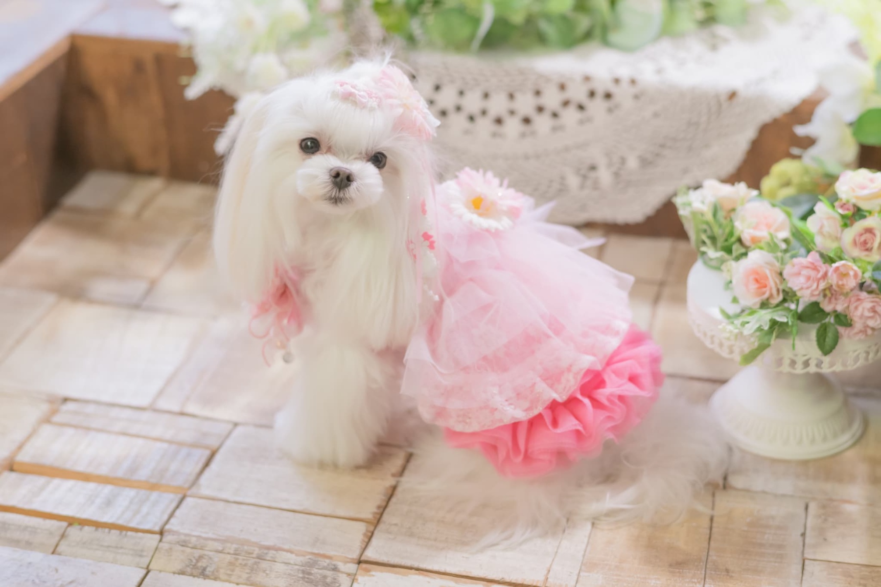 チュールフリルスカート（イエロー・ピンク）