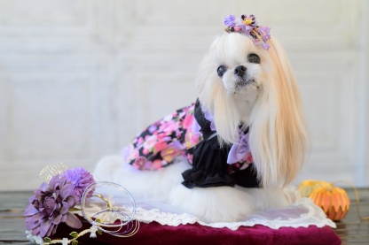 和ロリつまみ細工バレッタリボン