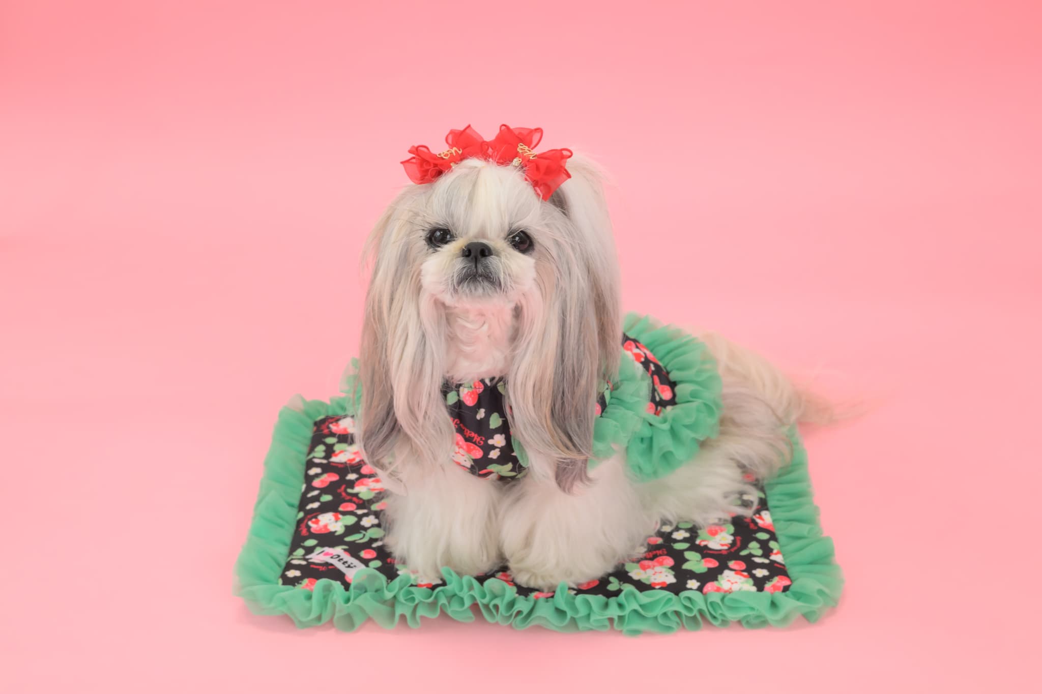 K-002 【Otty×CanNanaコラボ】HELLO KITTY・いちご柄カフェマット