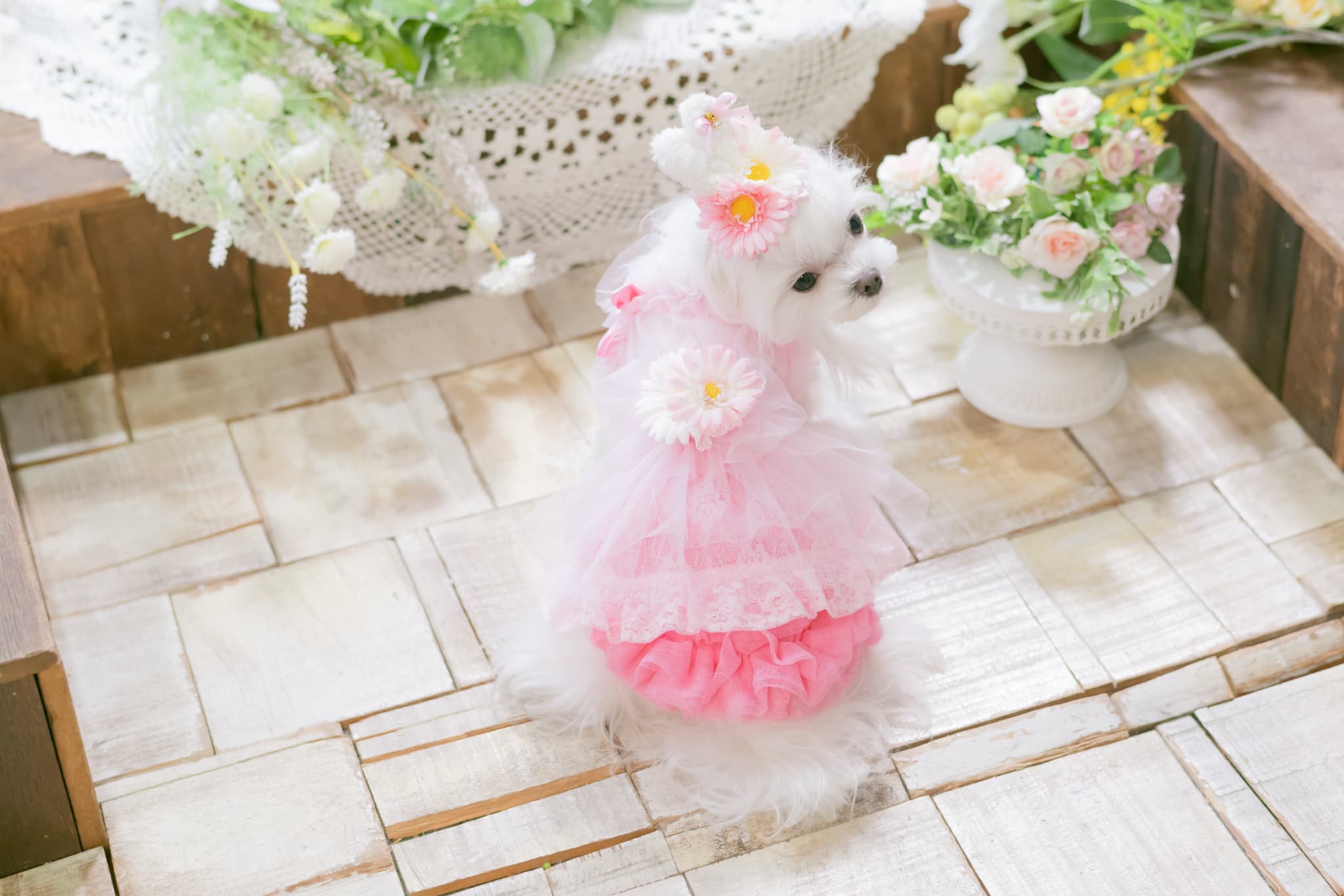 チュールフリルスカート（イエロー・ピンク）